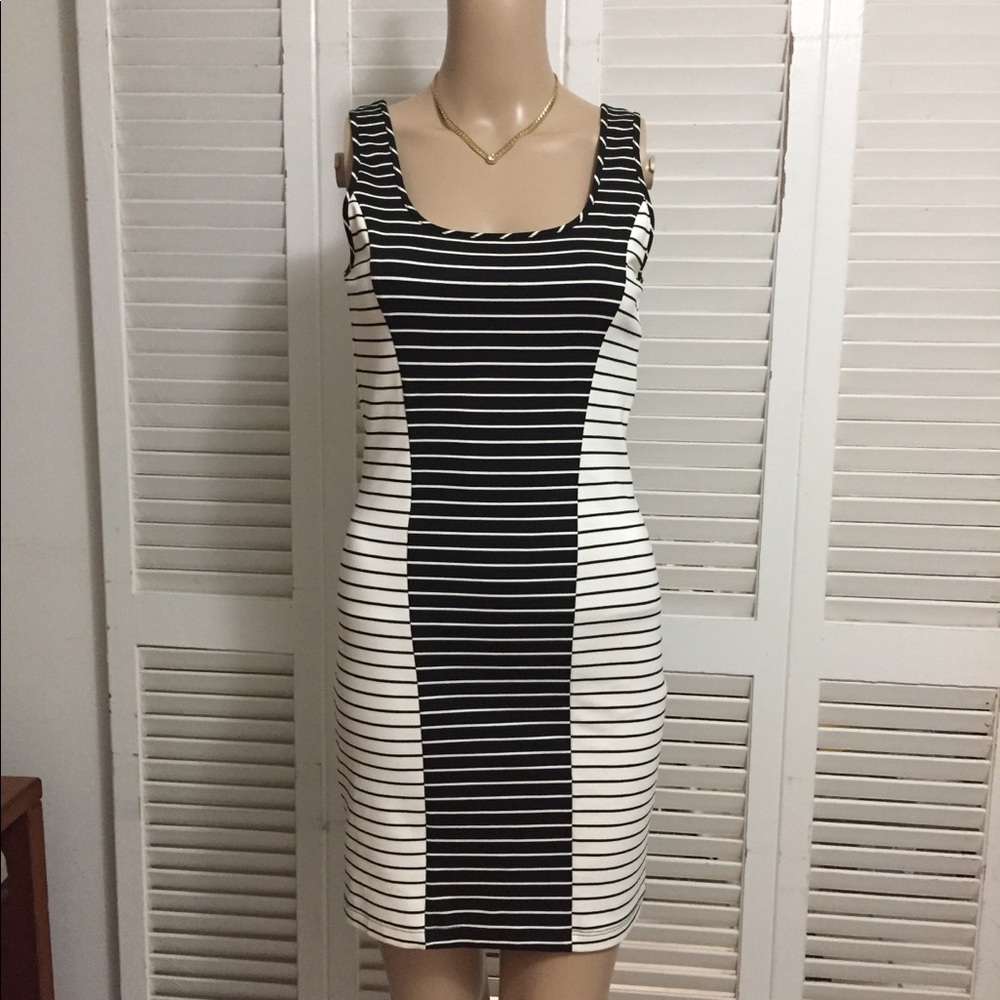 Stretchy Fitted Dress